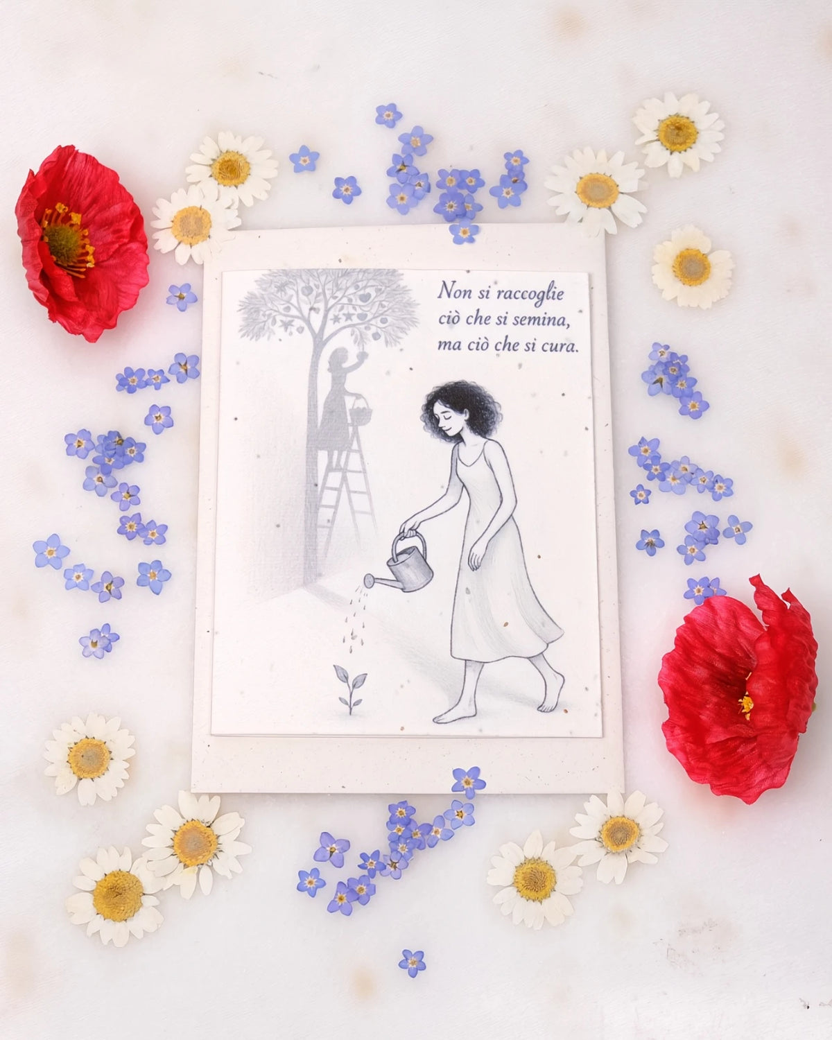 FlorienSoul | Biglietti di Auguri in Carta Piantabile