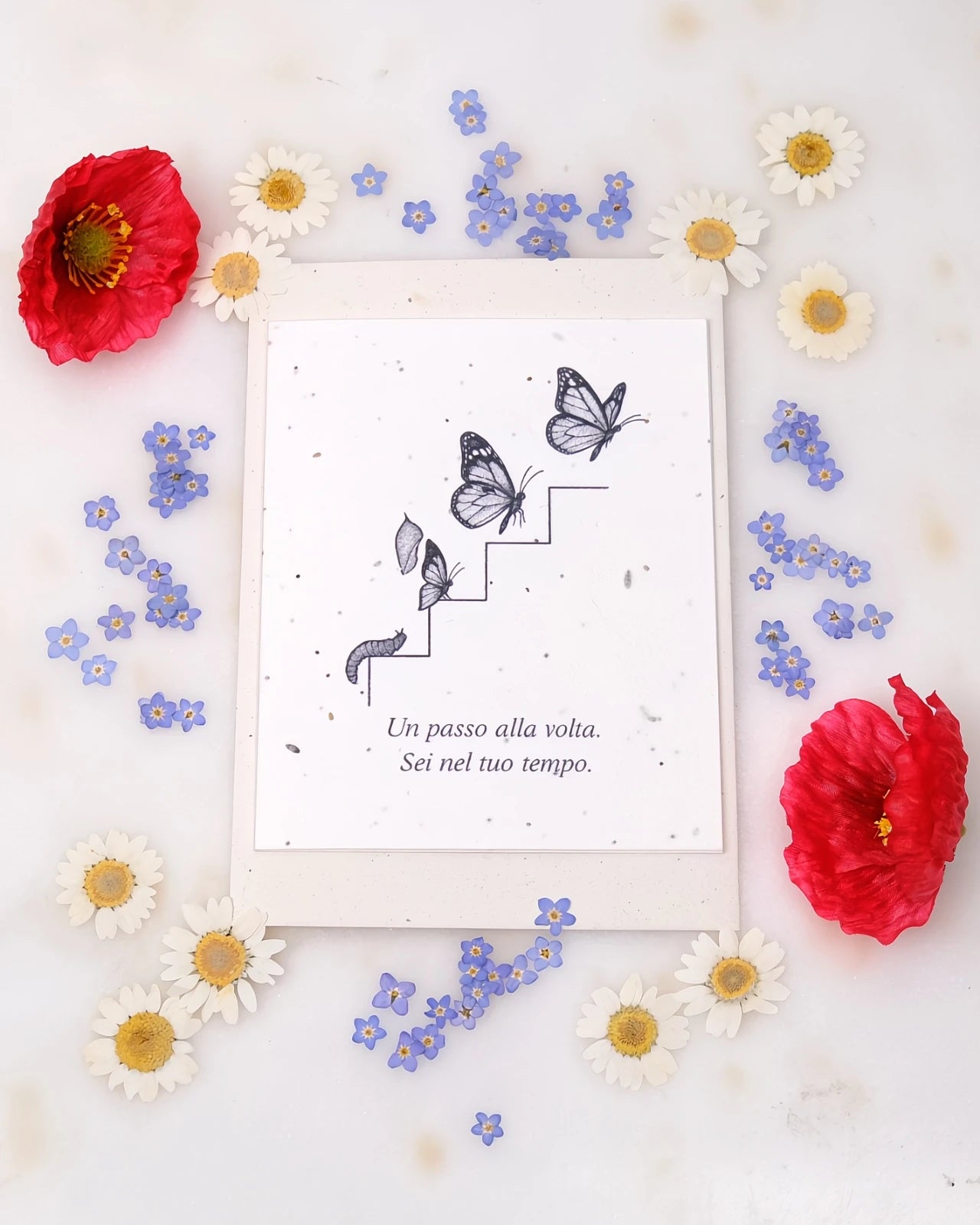 FlorienSoul | Biglietti di Auguri in Carta Piantabile