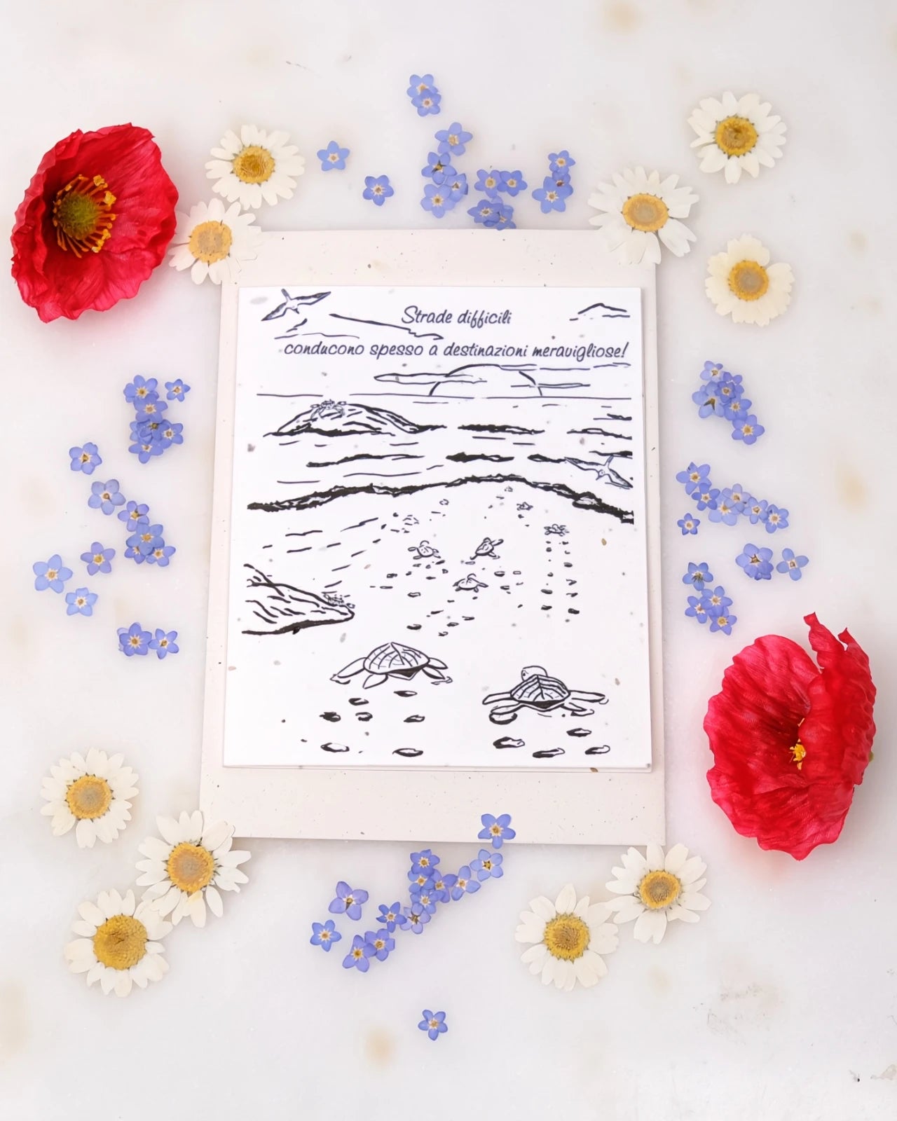 FlorienSoul | Biglietti di Auguri in Carta Piantabile