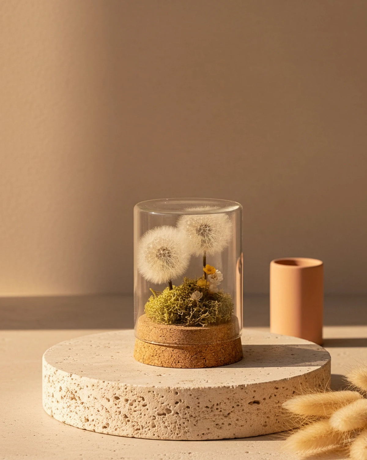 collezione giardino dei desideri | Terrarium con Soffioni Stabilizzati e Prato Muschio Stabilizzato in Ampolle o Campane di Vetro con Base in Legno e Sughero - Idea regalo unica e poetica | Misura Media Soffioni Duo