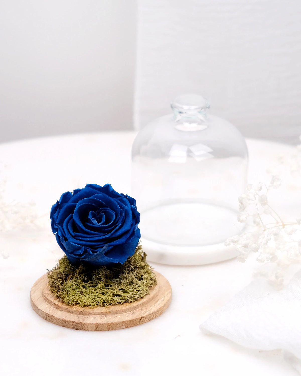 rosa stabilizzata sotto campana di vetro colore blu oceano