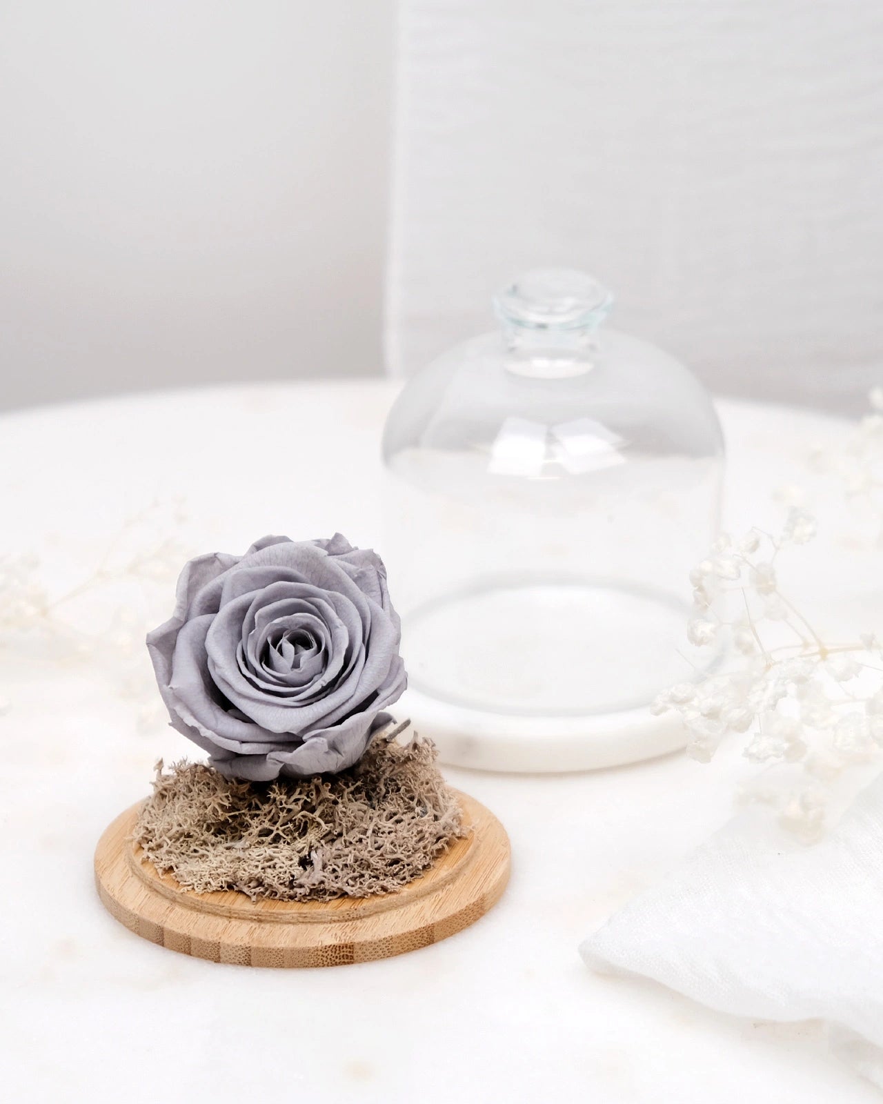 rosa stabilizzata sotto campana di vetro colore grigio