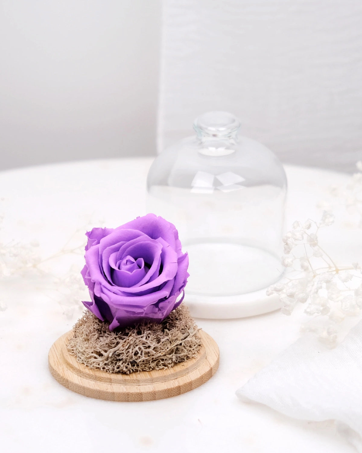rosa stabilizzata sotto campana di vetro colore lilla
