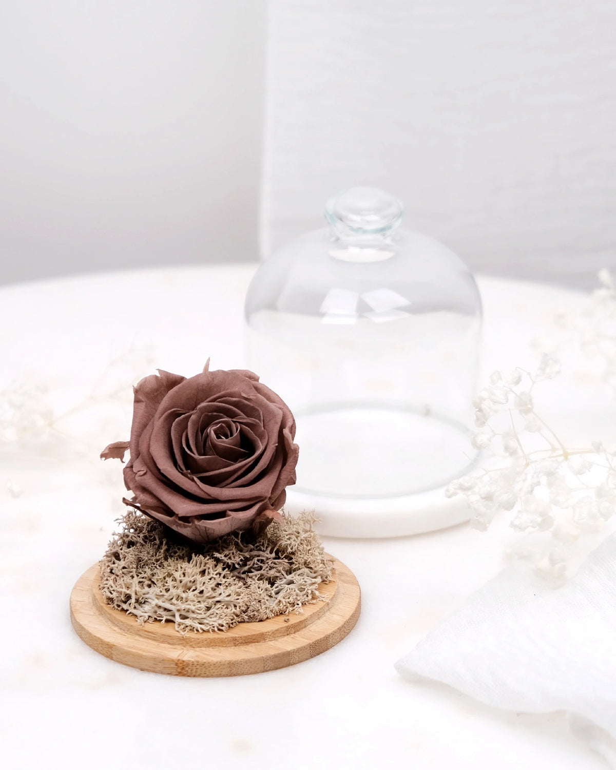 rosa stabilizzata sotto campana di vetro colore mocha mousse