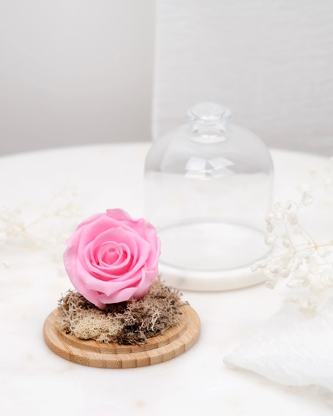 rosa stabilizzata sotto campana di vetro colore rosa pastello