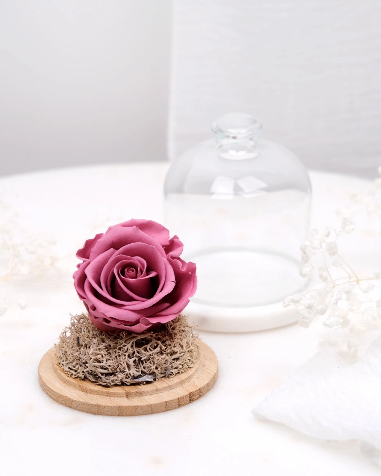 rosa stabilizzata sotto campana di vetro colore cherry vintage