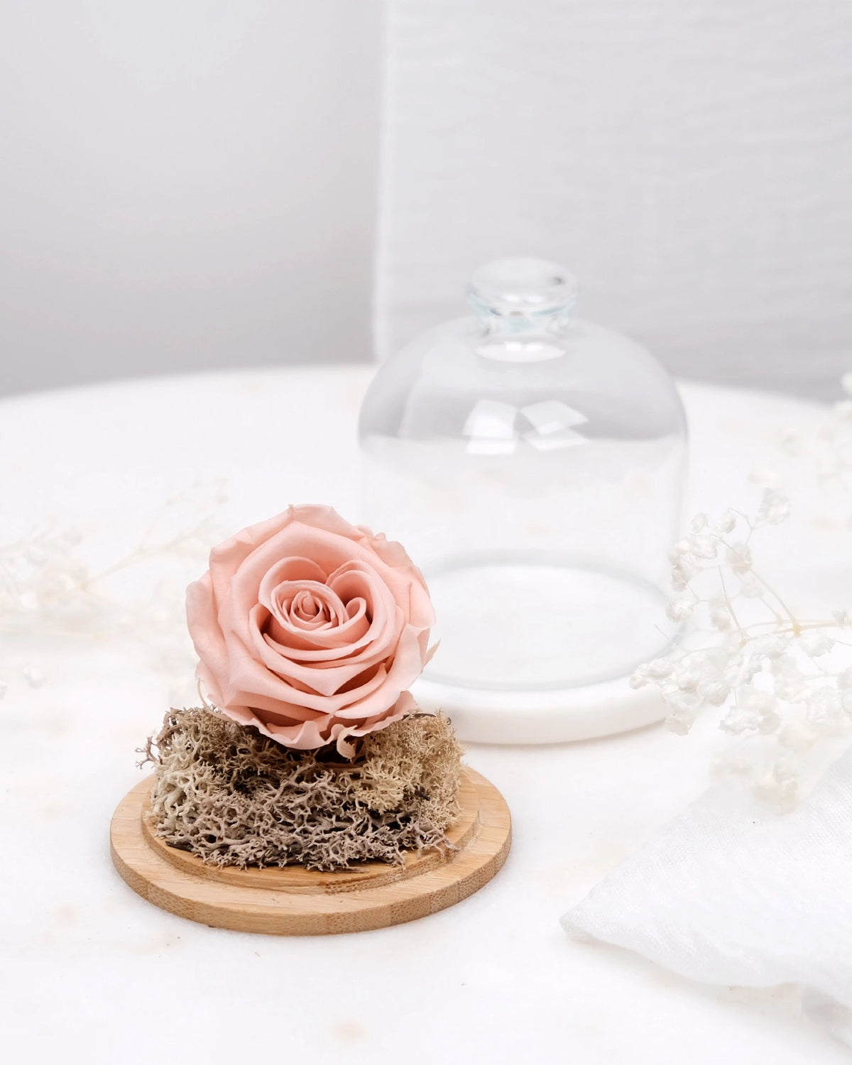 rosa stabilizzata sotto campana di vetro colore rosa antico