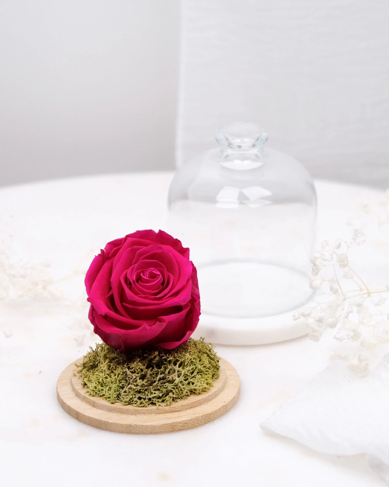 rosa stabilizzata sotto campana di vetro colore fucsia