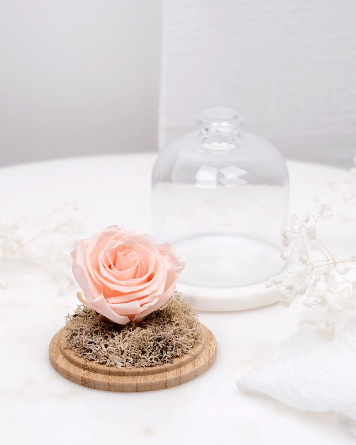 rosa stabilizzata sotto campana di vetro colore rosa porcellana