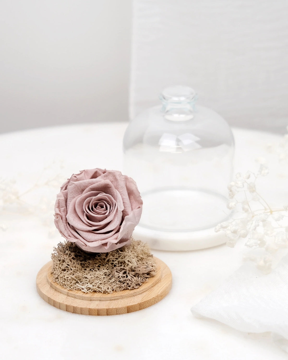 rosa stabilizzata sotto campana di vetro colore grigio tortora