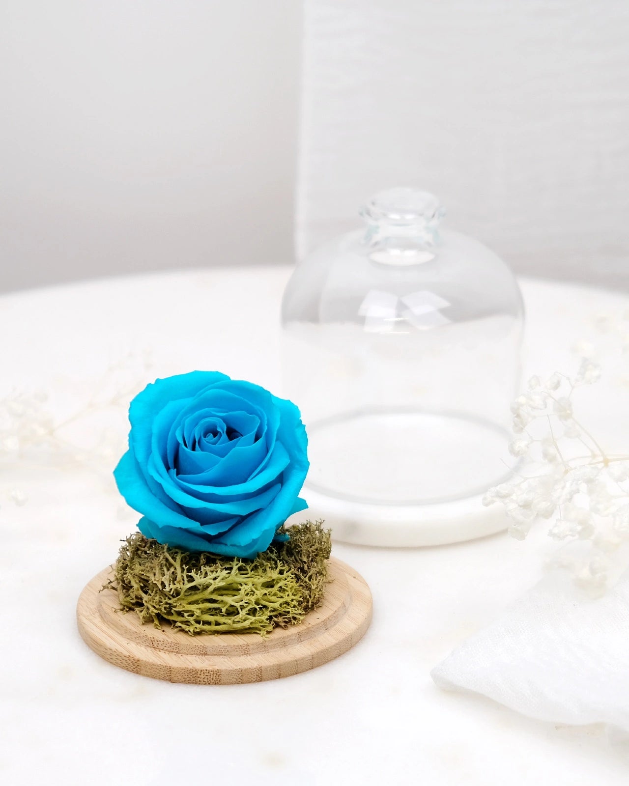 rosa stabilizzata sotto campana di vetro colore turchese