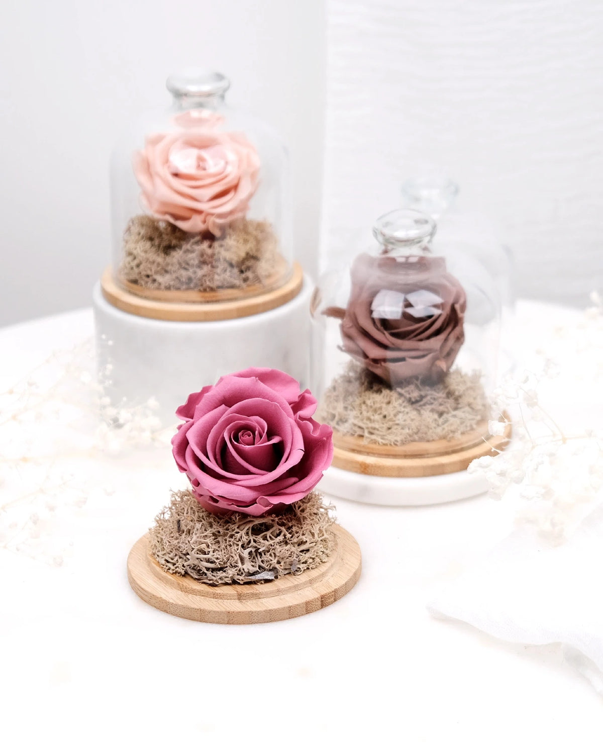 rosa stabilizzata sotto campana di vetro colore trio