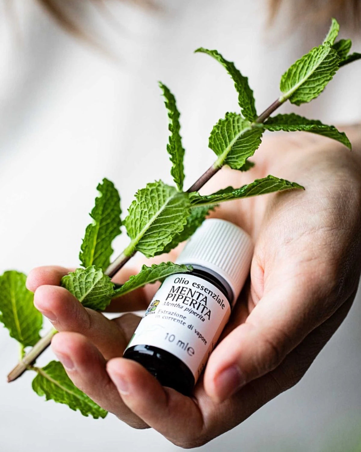 Puro olio essenziale di Menta Piperita, 100% naturale e made in italy, risveglia corpo e mente, un soffio di energia che rinfresca l&#39;anima e dona chiarezza mentale | Io Sono La Luce Roma 