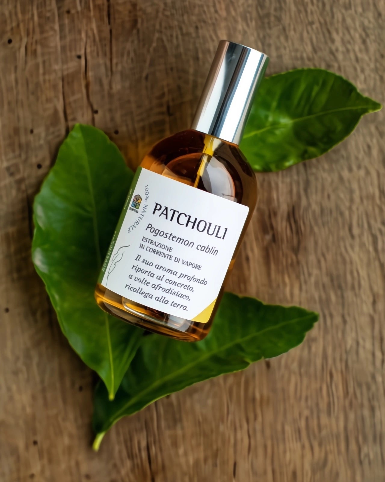 profumo botanico naturale al Patchouli di Olfattiva a roma