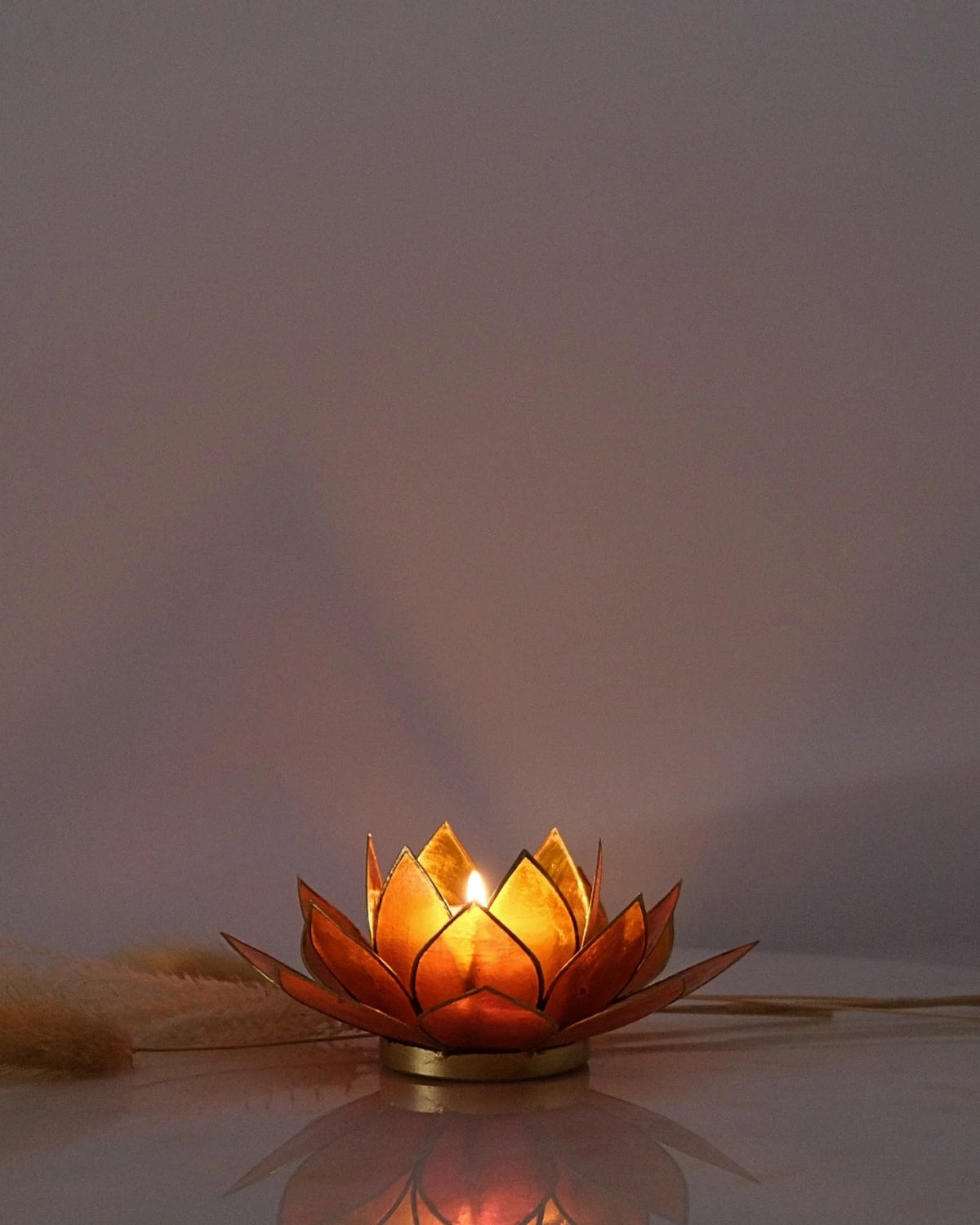 Puro: portacandele a forma di fior di loto in conchiglia 