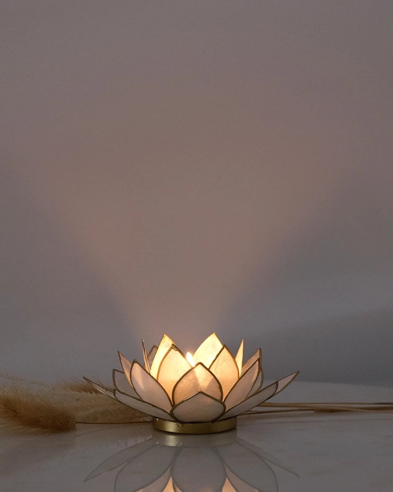 Puro: portacandele a forma di fior di loto in conchiglia 