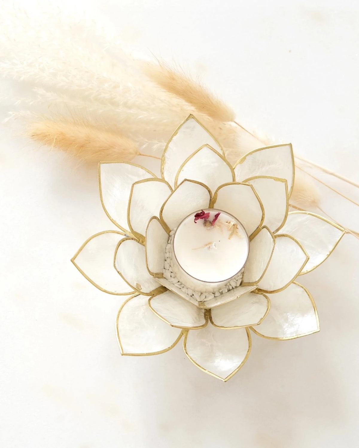Puro: portacandele a forma di fior di loto in conchiglia colore bianco