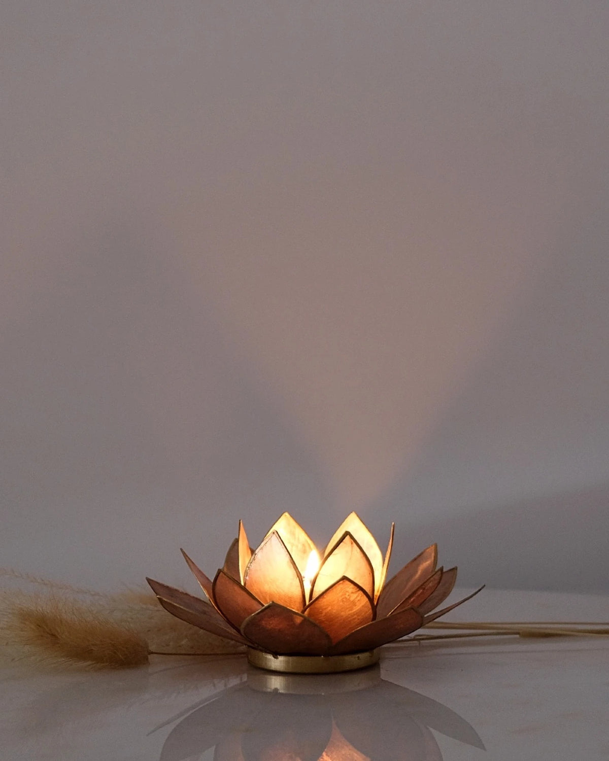 Puro: portacandele a forma di fior di loto in conchiglia 