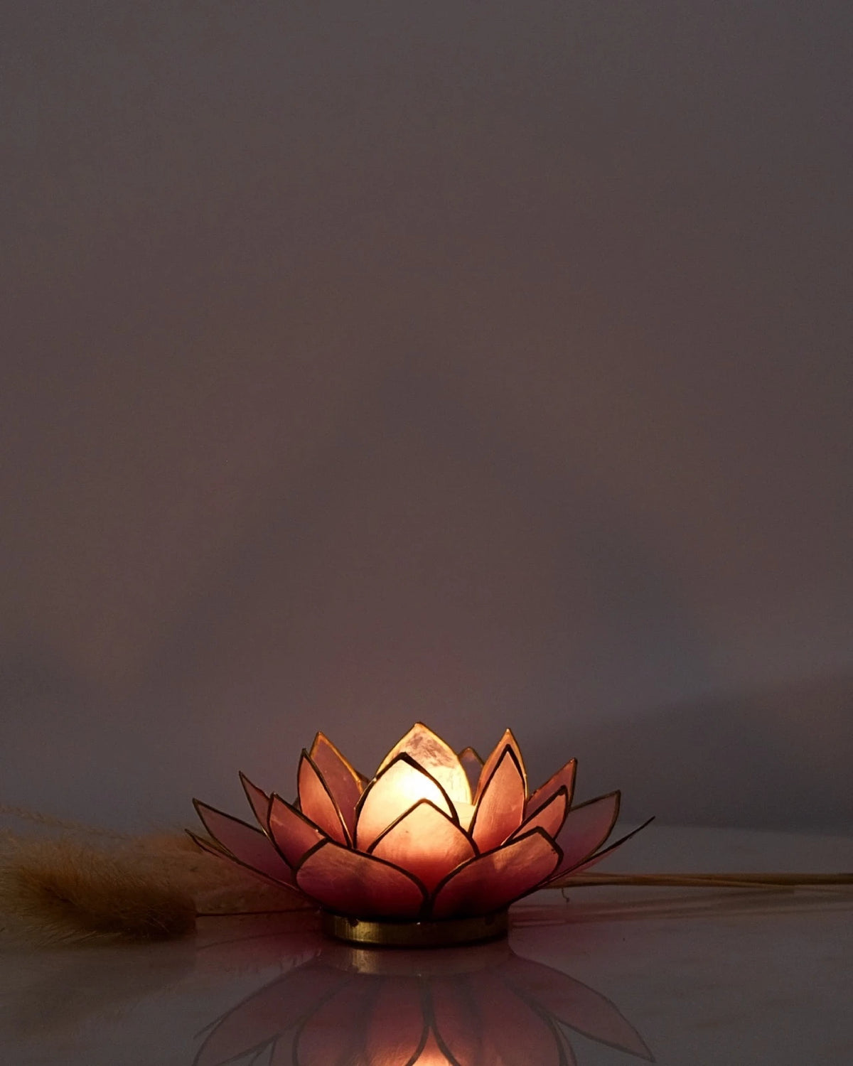 Puro: portacandele a forma di fior di loto in conchiglia 