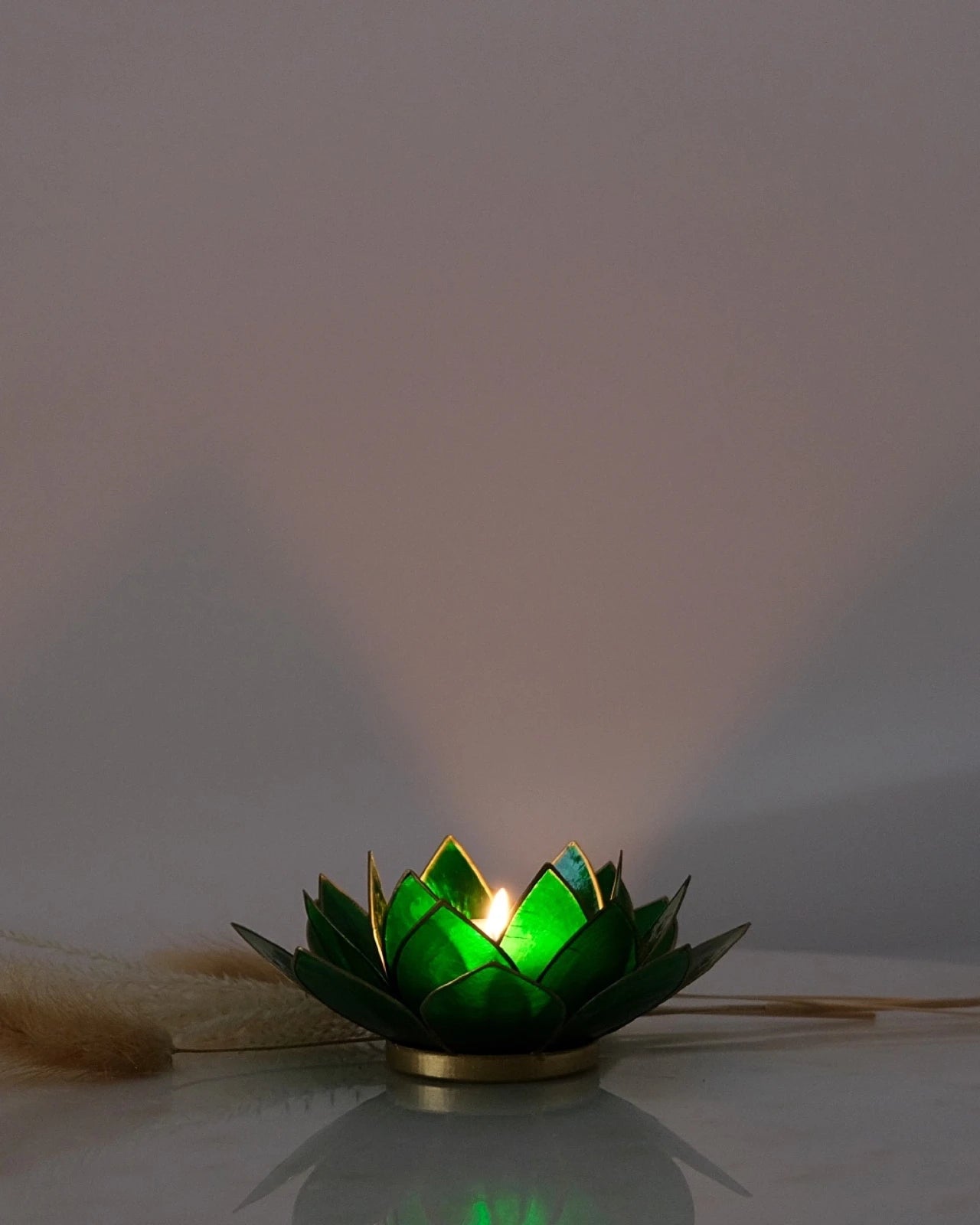 Puro: portacandele a forma di fior di loto in conchiglia 