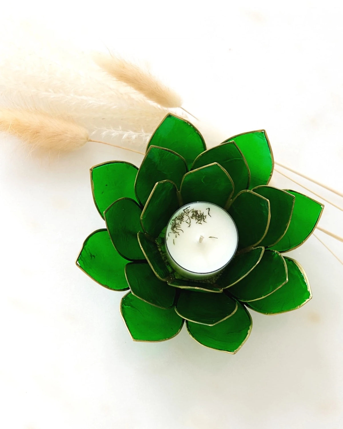 Puro: portacandele a forma di fior di loto in conchiglia colore verde