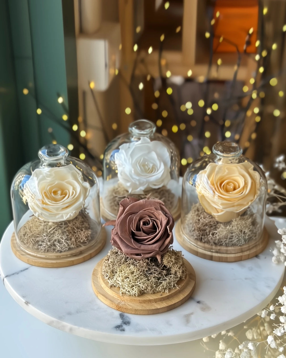 Fabula | Rosa Stabilizzata in Campana di Vetro