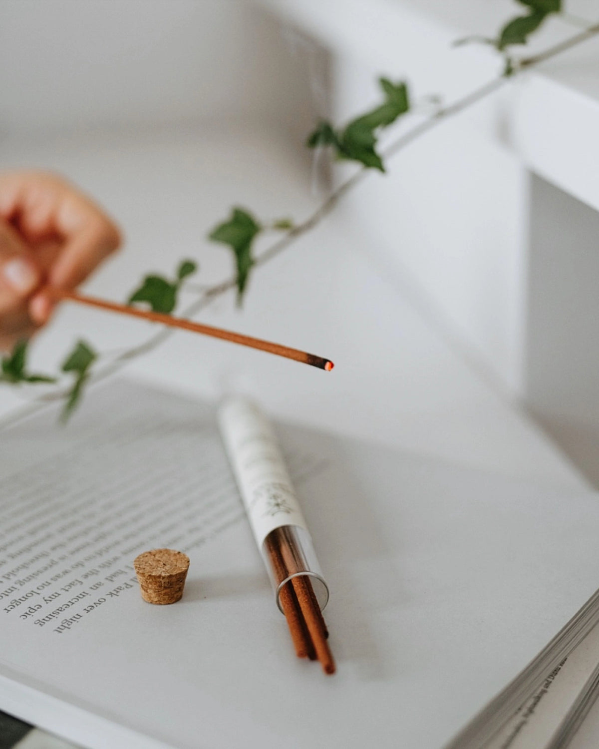 Incenso Nordico Naturale Dellingr - rituale energizzante dell’alba con bacche di ginepro e sandalo 