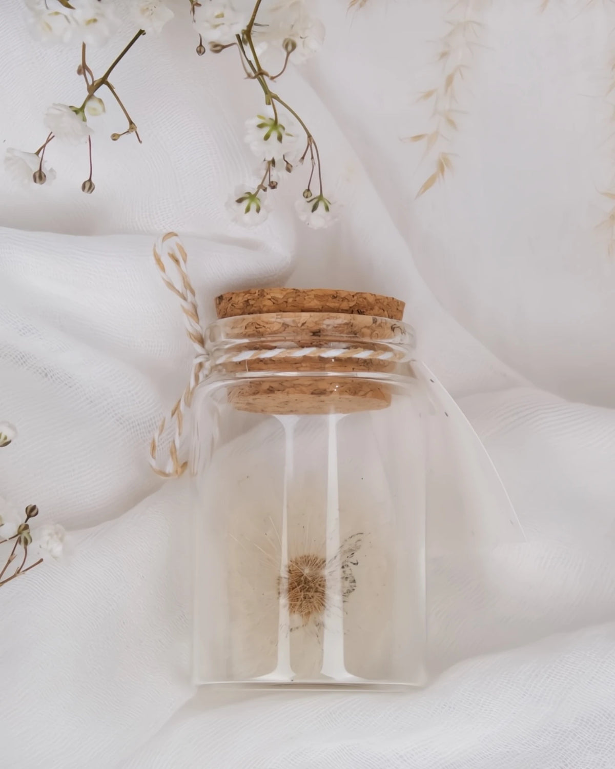 ampolla di vetro con soffione di tarassaco vero e tappo in sughero, simbolo di desideri e speranze