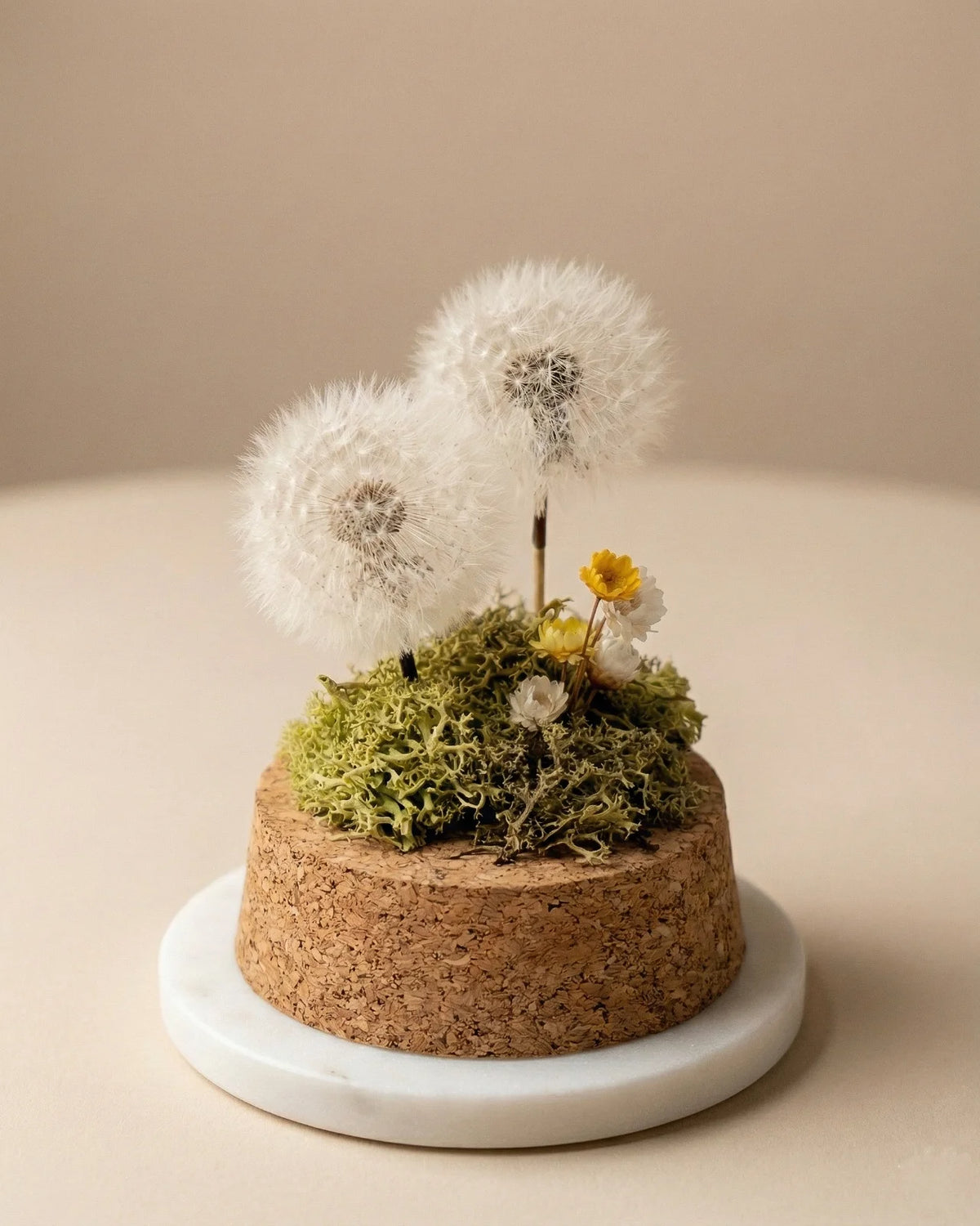 dettaglio composizione di due soffioni stabilizzati con muschio e glixie 