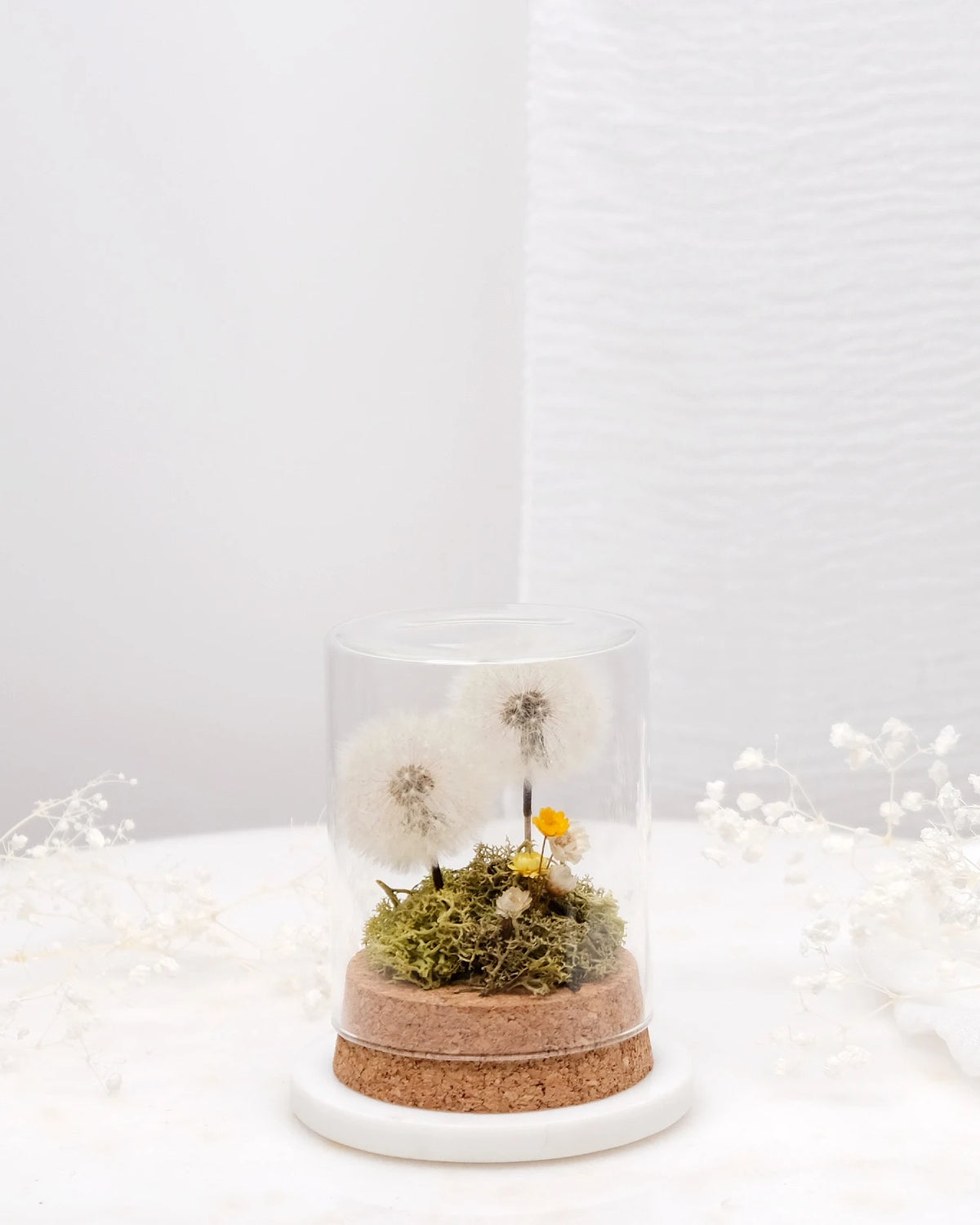 composizione con due soffioni stabilizzati in ampolla di vetro e base di sughero con muschio e glixie 