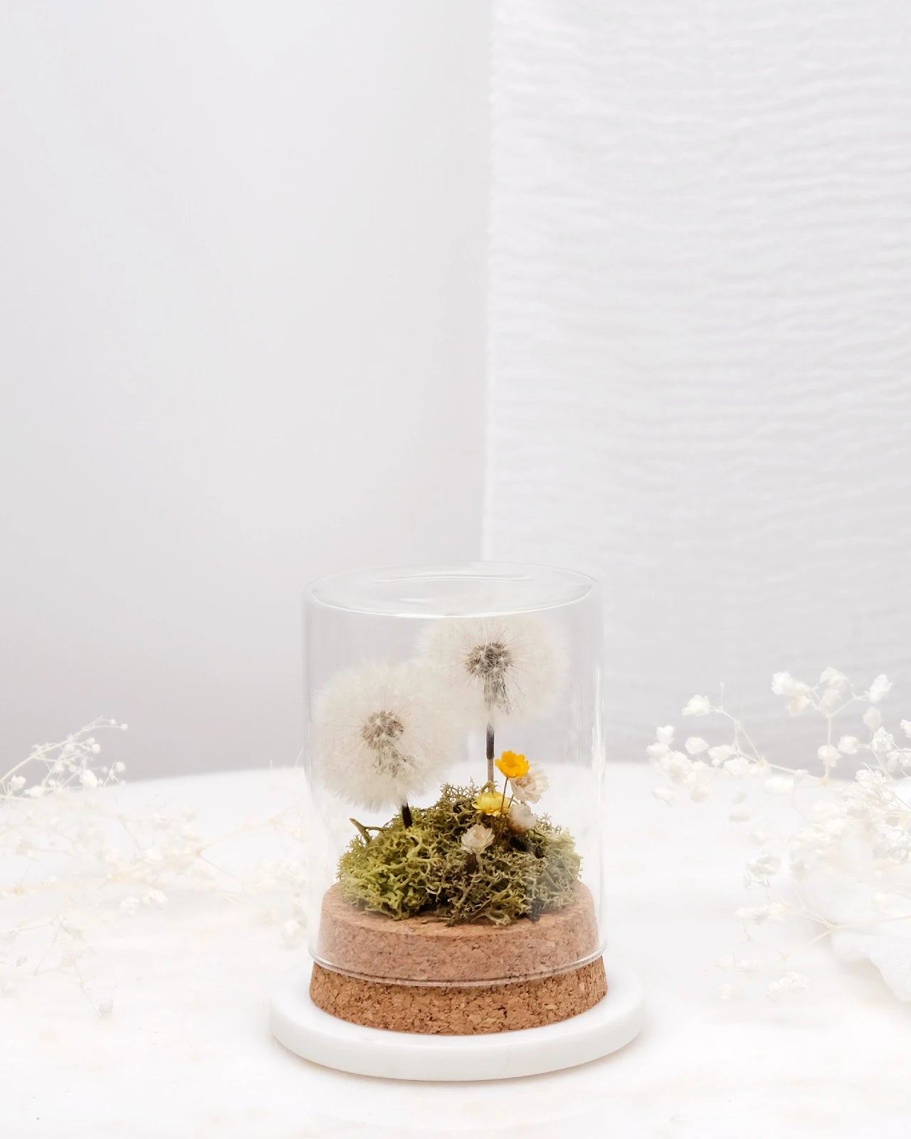 composizione con due soffioni stabilizzati in ampolla di vetro e base di sughero con muschio e glixie 