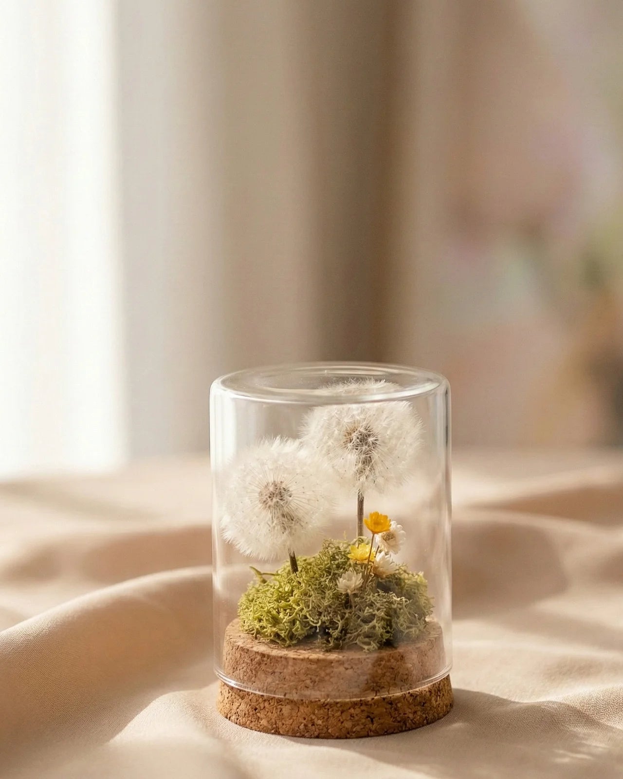 composizione con due dente di leone ( soffioni ) preservati in ampolla di vetro con base di sughero con glixie e muschio verde stabilizzato