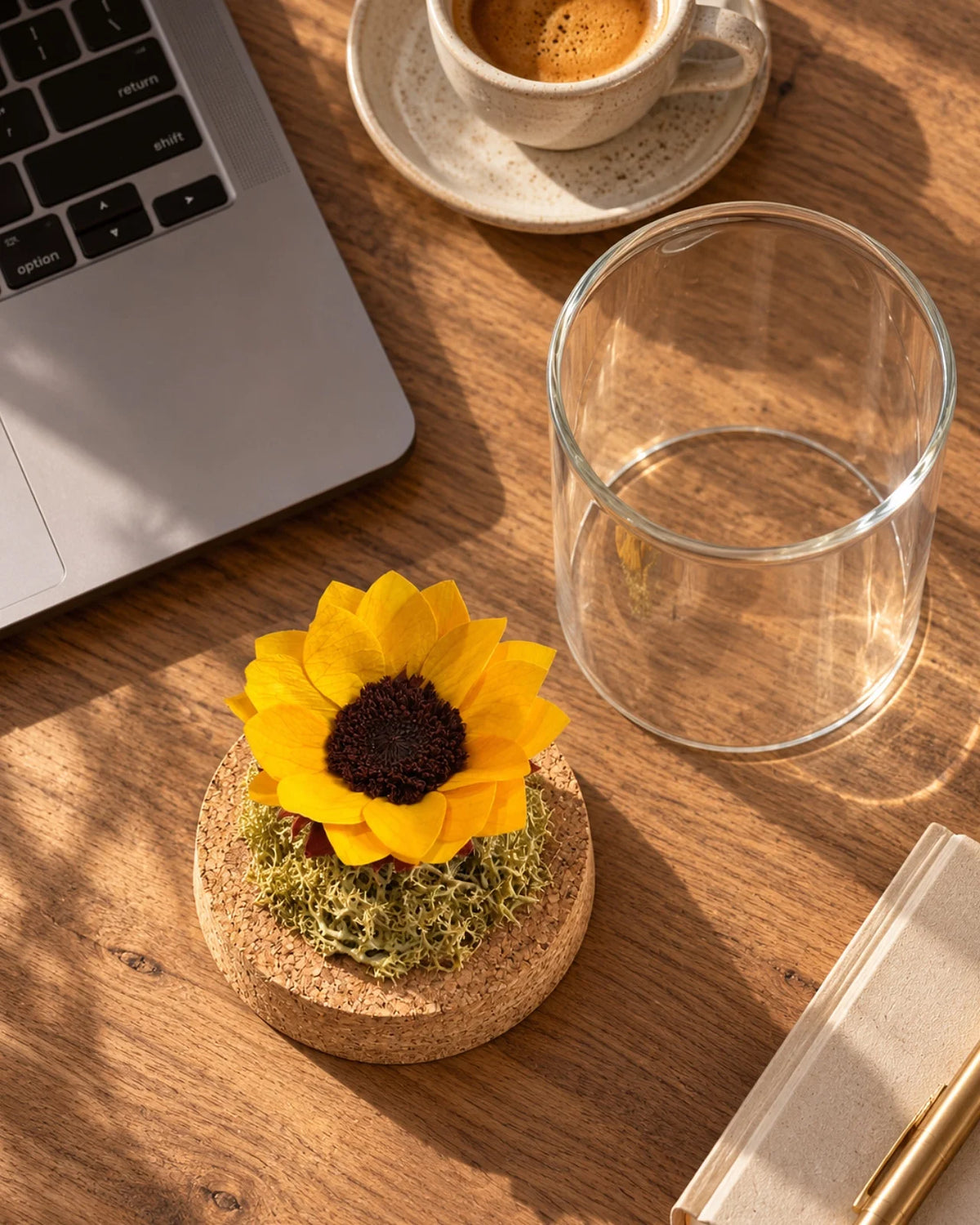 Fiore stabilizzato girasole in cloche vetro con muschio e sughero, decorazione eterna senza manutenzione