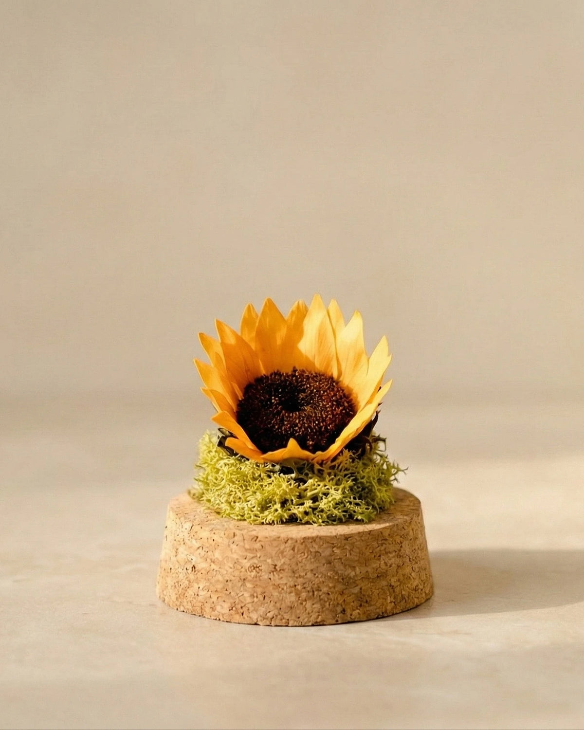 Girasole stabilizzato premium, fiore eterno decorativo no water no light
