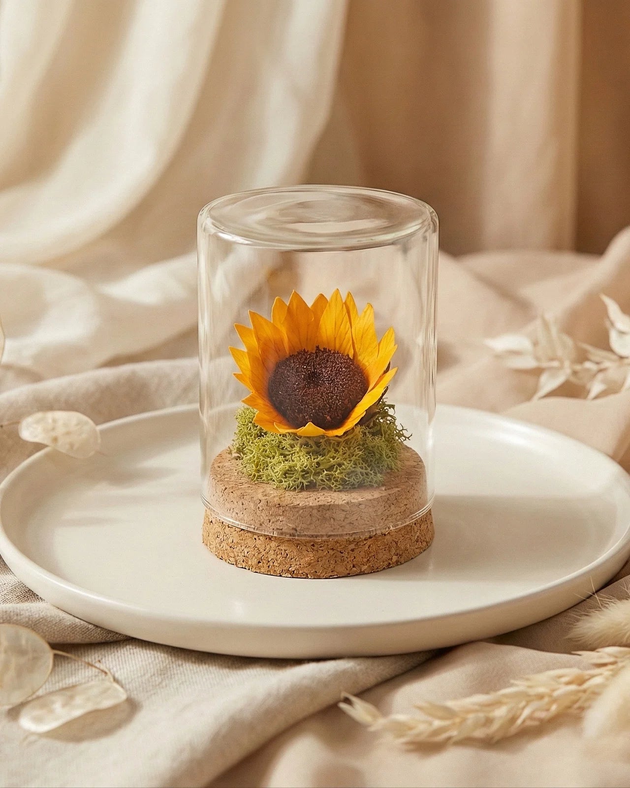 Soleil girasole stabilizzato in ampolla di vetro e base sughero, simbolo del sole, idea regalo poetica Roma