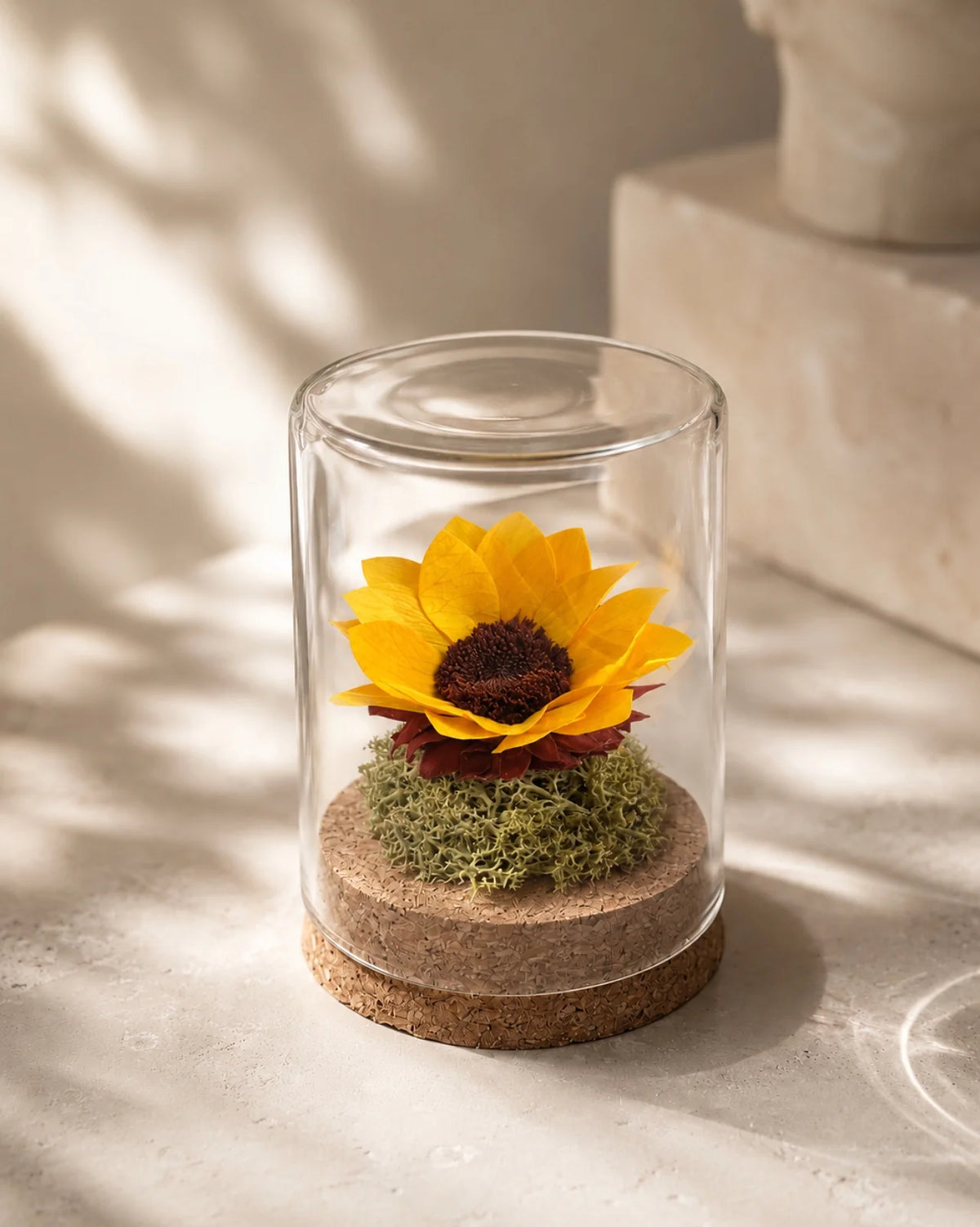 Girasole eterno sotto ampolla di vetro Soleil con muschio verde e base sughero naturale, green decor per casa Roma