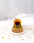 Girasole stabilizzato in ampolla di vetro con base sughero - idea regalo