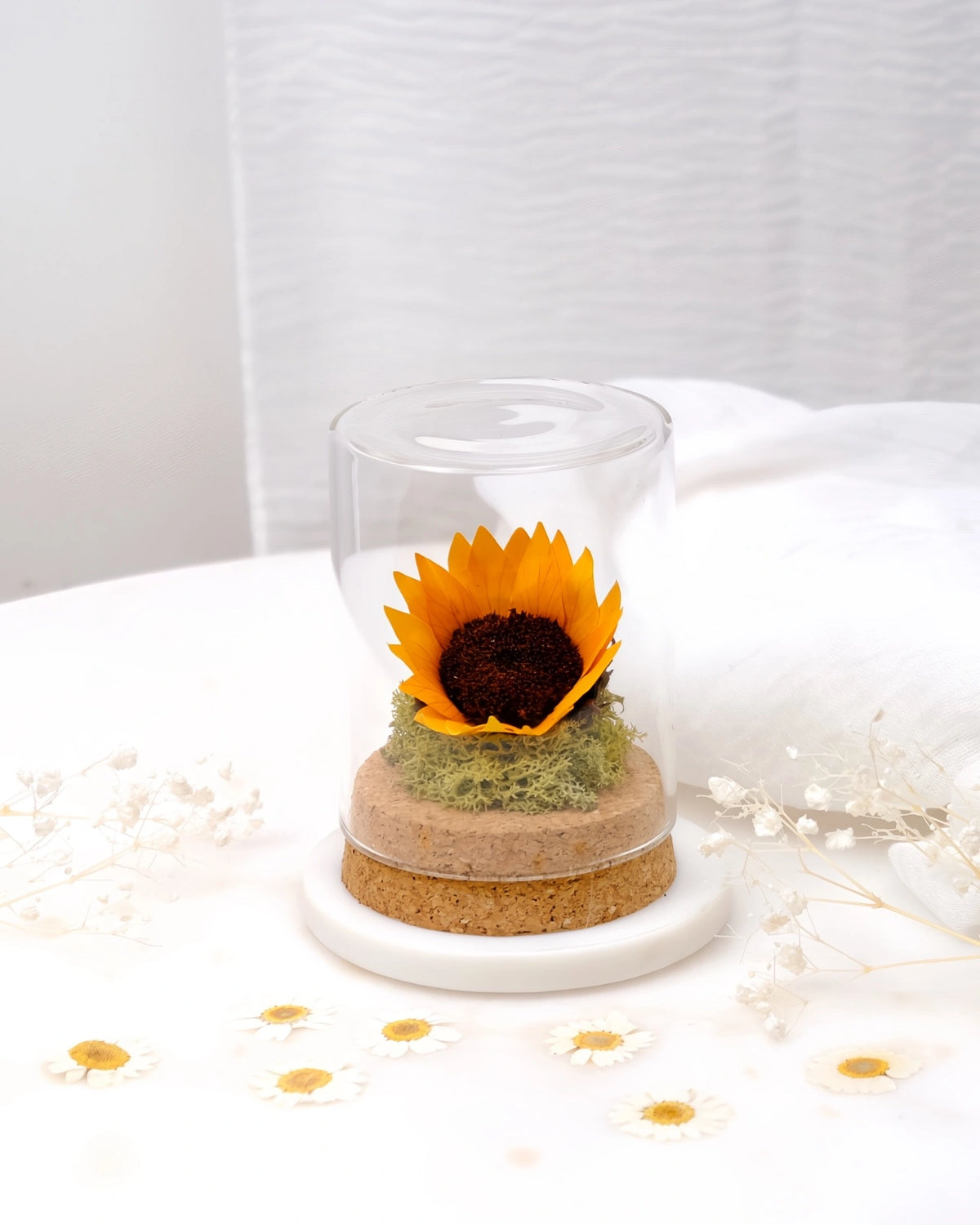 Girasole stabilizzato in ampolla di vetro con base sughero - idea regalo