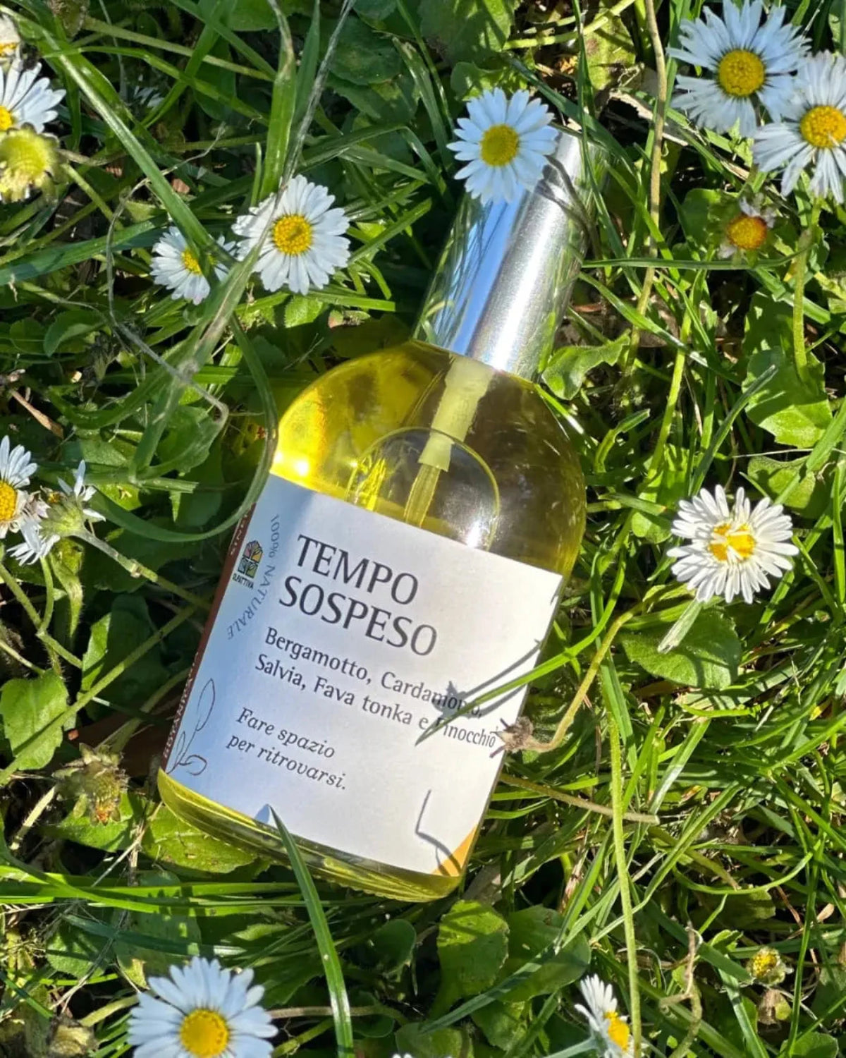Tempo Sospeso di Olfattiva | Profumo botanico naturale da 115 ml | Concept Store Roma