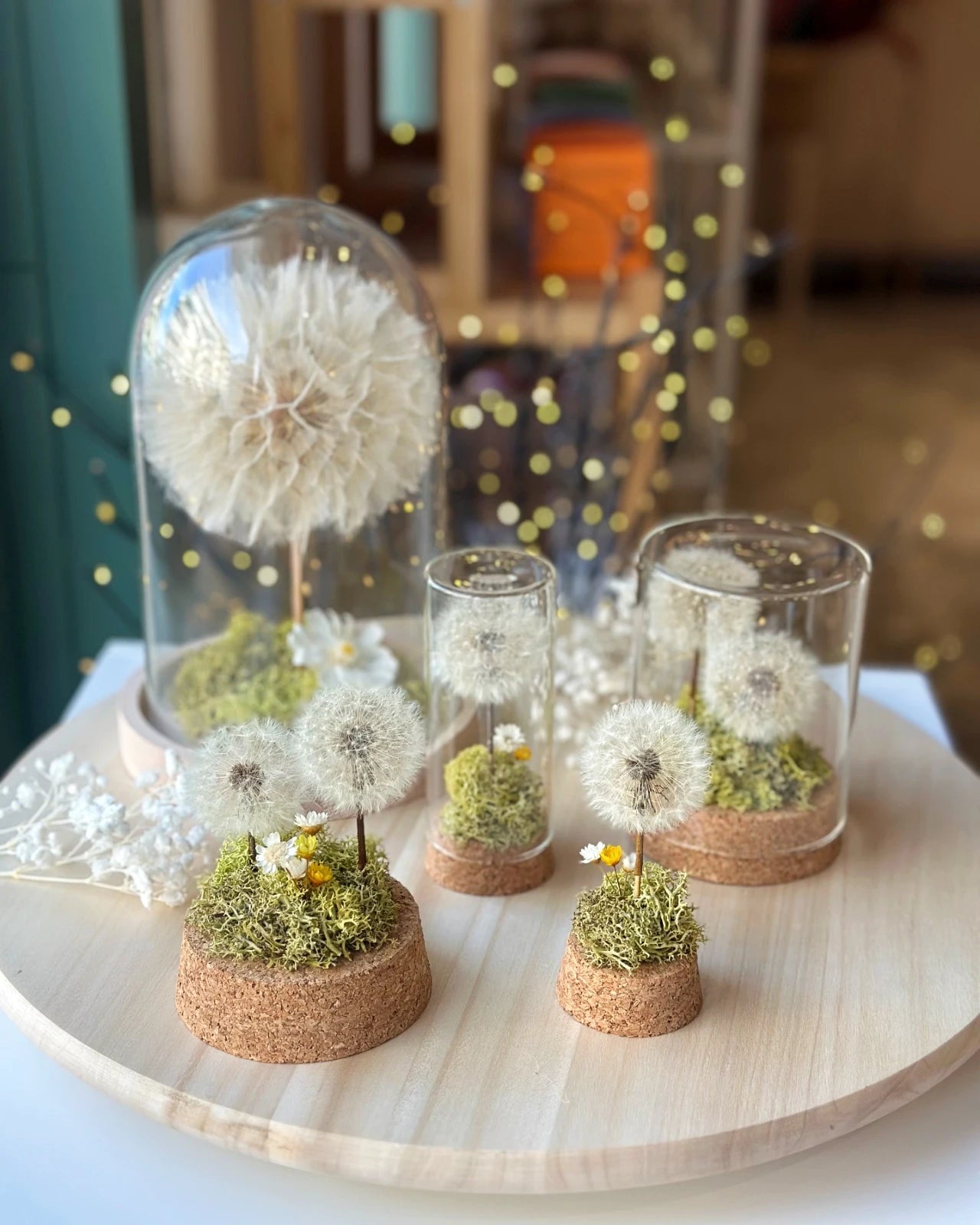 Collezione giardino dei desideri | Terrarium con Soffioni Stabilizzati e Prato Muschio Stabilizzato in Ampolle o Campane di Vetro con Base in Legno e Sughero - Idea regalo unica e poetica 