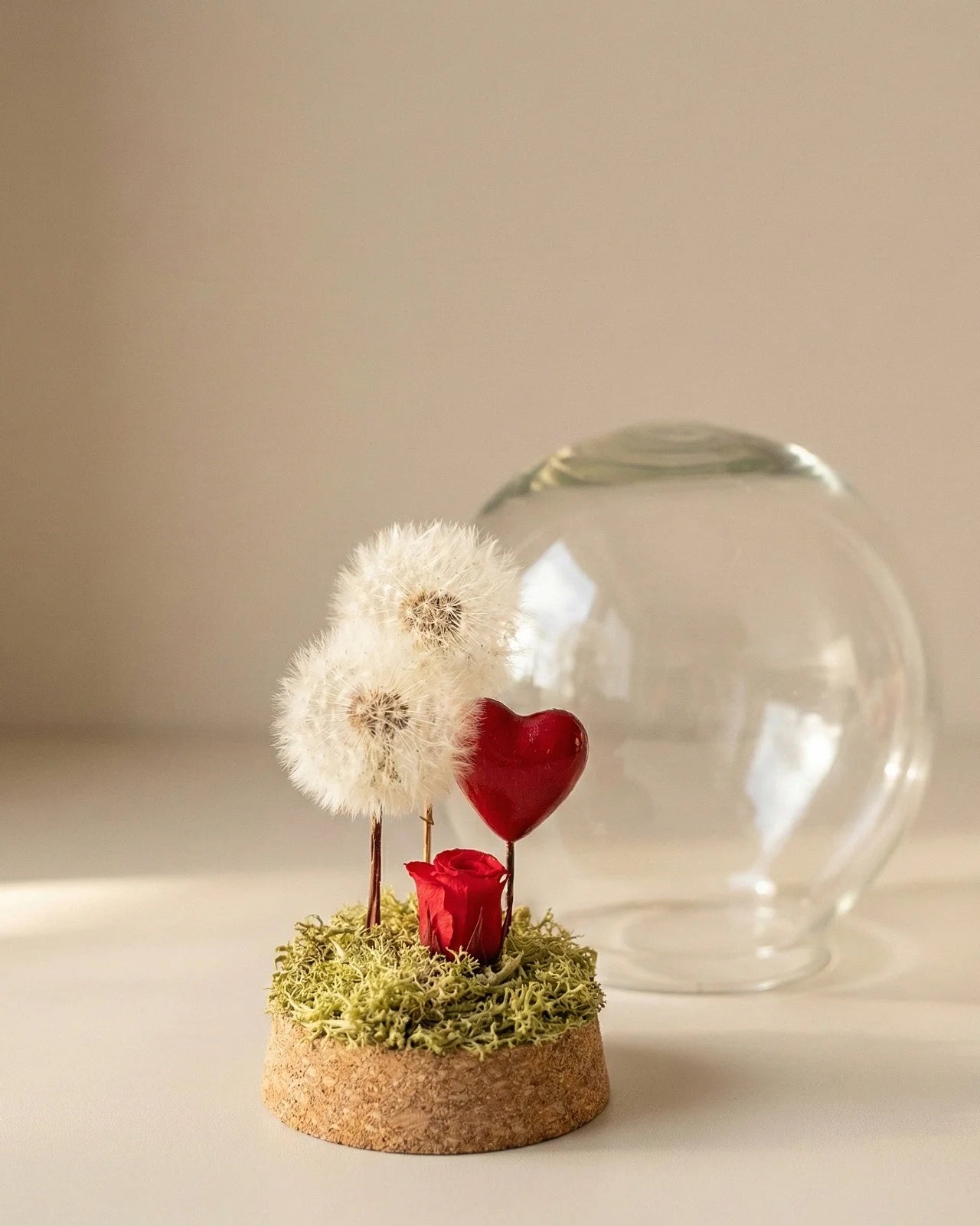 Terrarium Ubi Tu Ibi Ego - soffioni eterni rosa stabilizzata vetro sughero - regalo coppia anniversario Roma