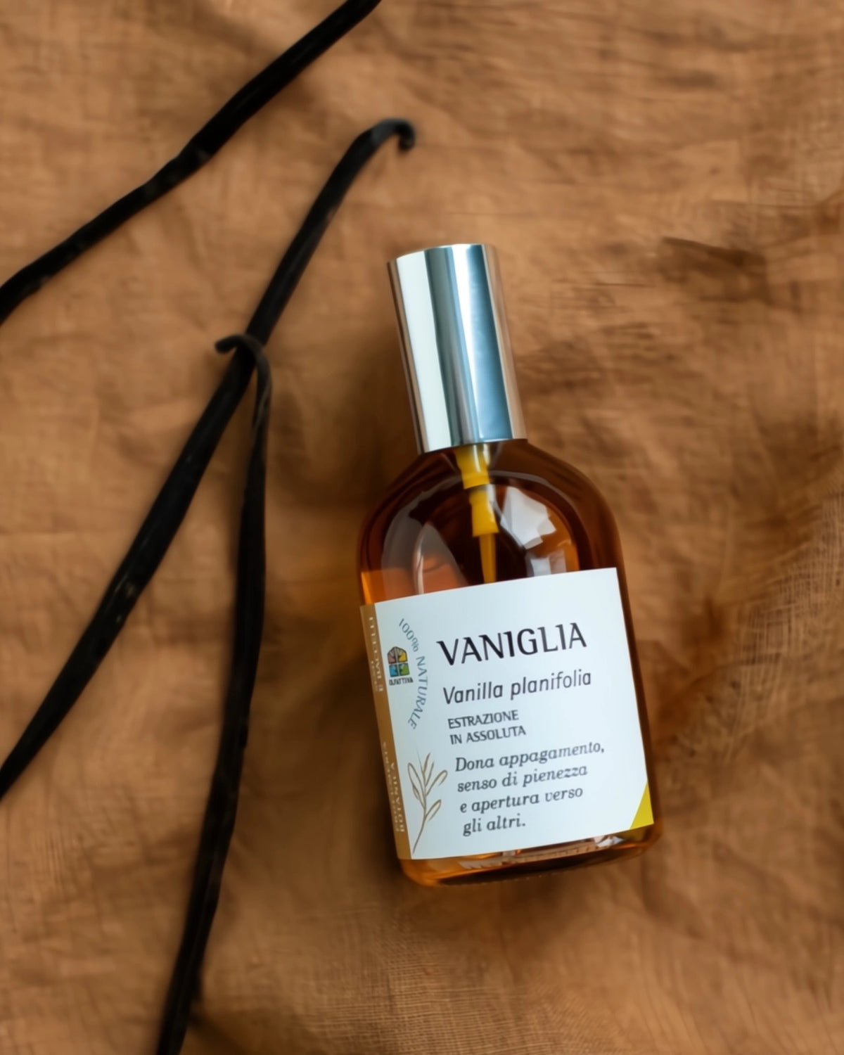 Vaniglia di Olfattiva | Profumo botanico naturale con olio essenziale purissimo di vaniglia bourbon | Roma 