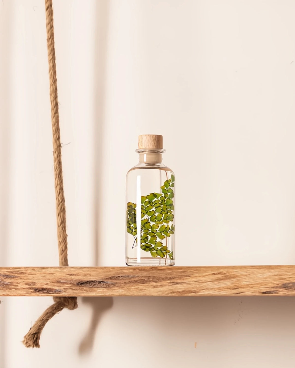 wabi sabi herbarium giapponese artigianali con fiori conservati in bottiglia di vetro farmaceutico e tappo in legno naturale - foglia stabilizzata di luthi - dimensione piccola