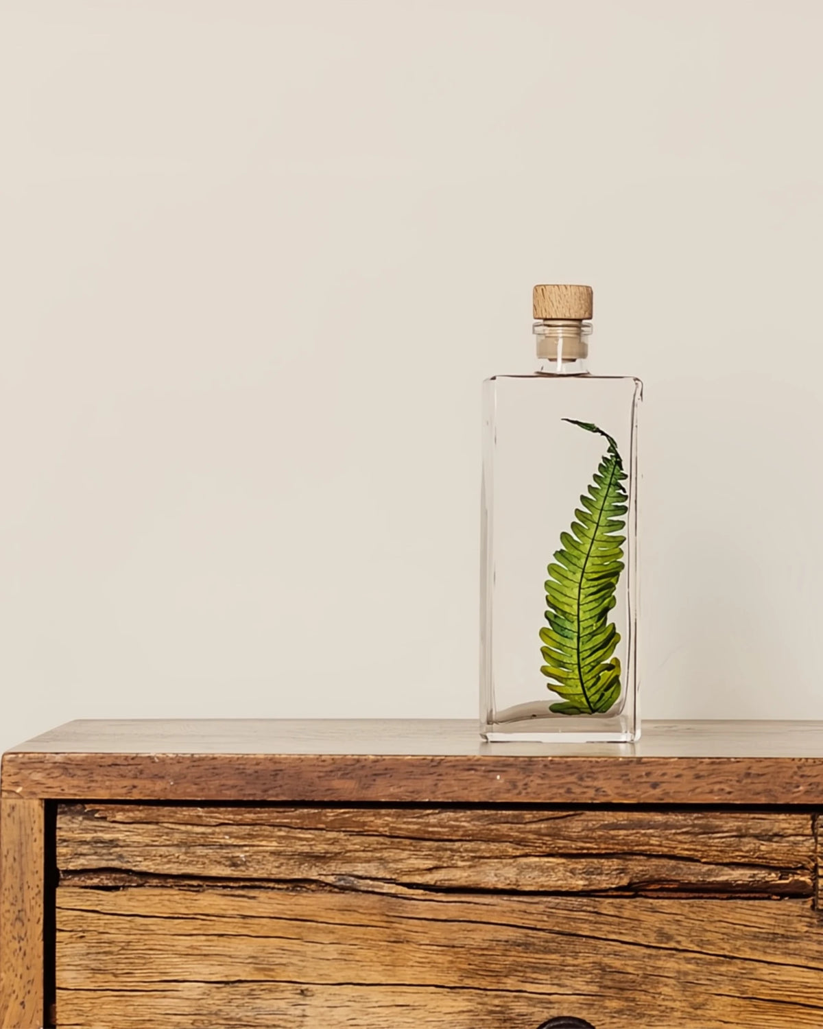 wabi sabi herbarium giapponese artigianali con fiori conservati in bottiglia di vetro farmaceutico e tappo in legno naturale - foglia stabilizzata di argyrea - dimensione media