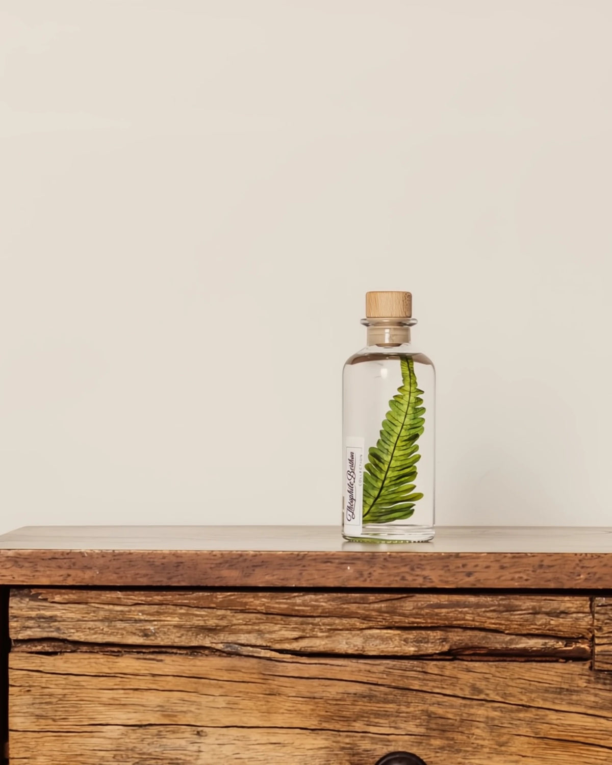 wabi sabi herbarium giapponese artigianali con fiori conservati in bottiglia di vetro farmaceutico e tappo in legno naturale - foglia stabilizzata di argyrea - dimensione piccola