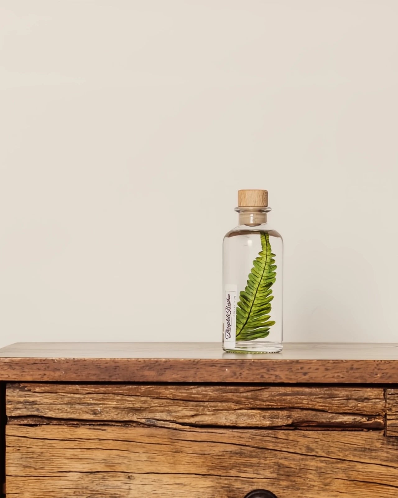 wabi sabi herbarium giapponese artigianali con fiori conservati in bottiglia di vetro farmaceutico e tappo in legno naturale - foglia stabilizzata di argyrea - dimensione piccola