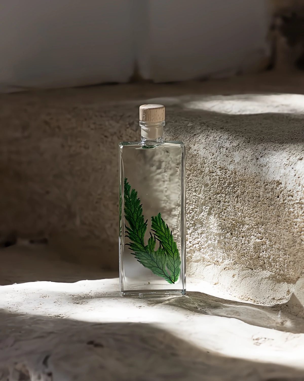 wabi sabi herbarium giapponese artigianali con fiori conservati in bottiglia di vetro farmaceutico e tappo in legno naturale - foglia stabilizzata di felce colombiana - dimensione media