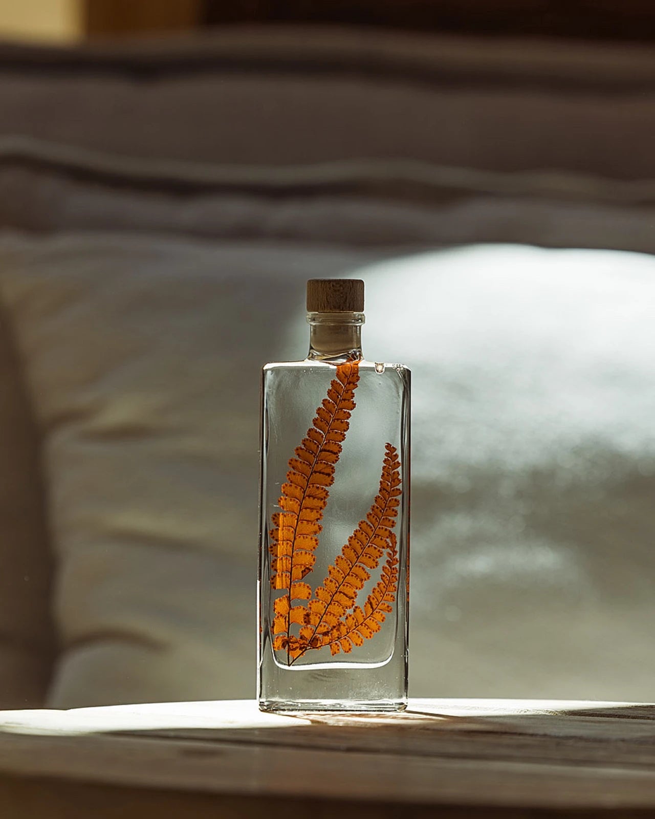 wabi sabi herbarium giapponese artigianali con fiori conservati in bottiglia di vetro farmaceutico e tappo in legno naturale - foglia stabilizzata di felce rossastra - dimensione media