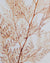 wabi sabi herbarium giapponese artigianali con fiori conservati in bottiglia di vetro farmaceutico e tappo in legno naturale - foglia stabilizzata di felce neve -  dettaglio