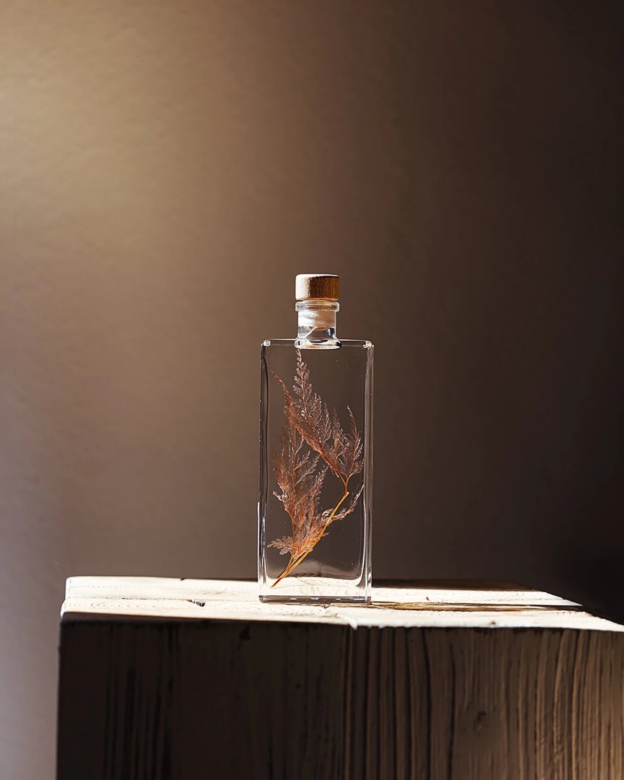 wabi sabi herbarium giapponese artigianali con fiori conservati in bottiglia di vetro farmaceutico e tappo in legno naturale - foglia stabilizzata di felce neve -  dimensione media
